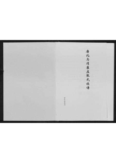 河南张氏族谱-张氏族谱.pdf电子版预览图1