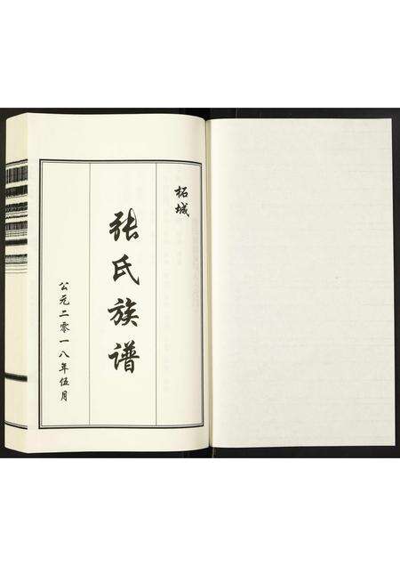 河南张氏族谱-张氏族谱.pdf电子版预览图1