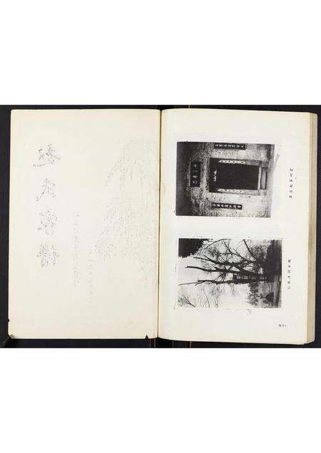 河南赵氏族谱-赵氏家谱.pdf电子版预览图1