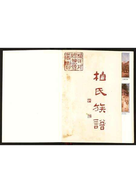 广东植氏族谱-植氏族谱.pdf电子版预览图1