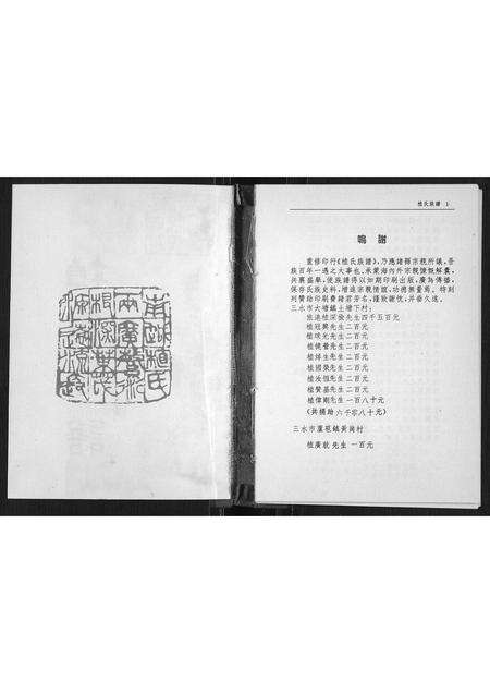 广东植氏族谱-植氏族谱.pdf电子版预览图1