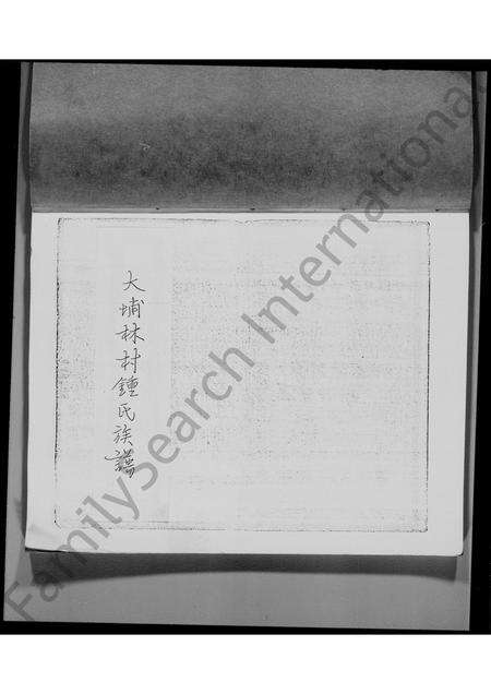 广东锺氏族谱-大埔林村锺氏族谱.pdf电子版预览图1