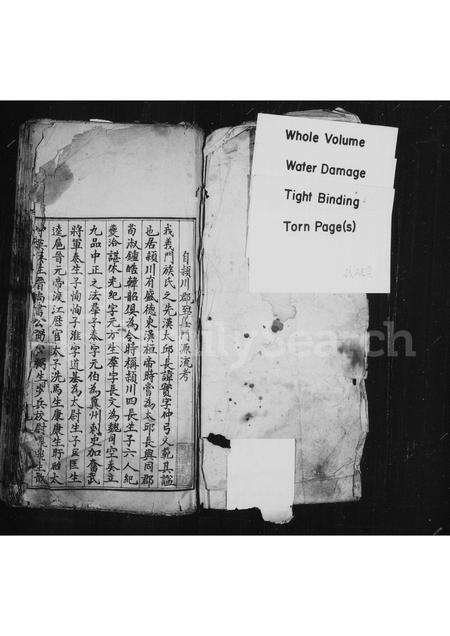 河南陈氏族谱-淮阳郡陈氏族谱.pdf电子版预览图1