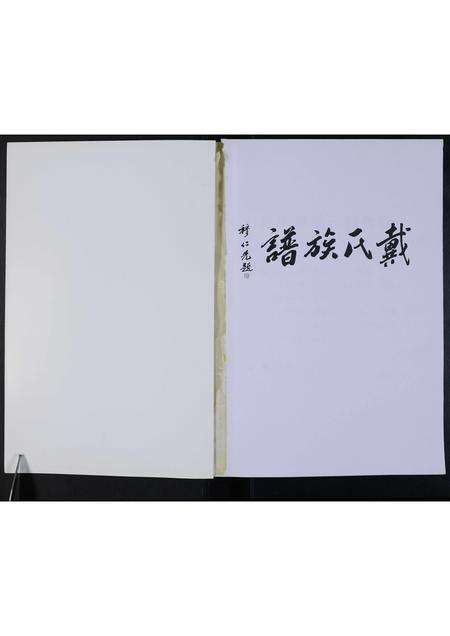 河南戴氏族谱-鹿邑淮阳戴氏族谱.pdf电子版预览图1