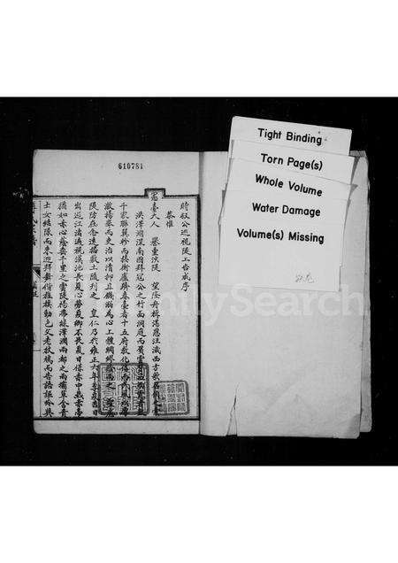 河南傅氏族谱-嵩邑傅氏宗谱.pdf电子版预览图1