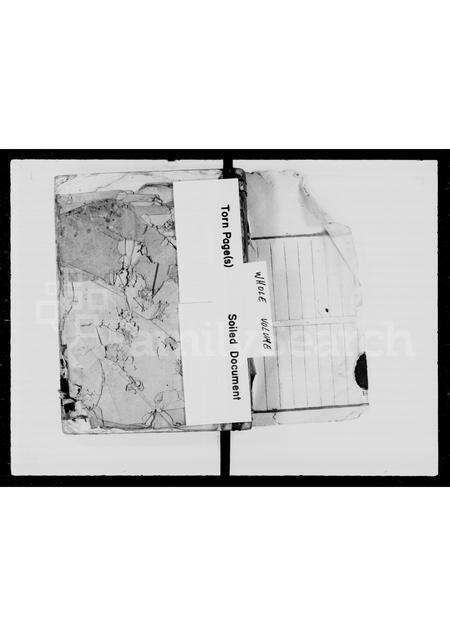 广东郭氏族谱-郭氏族谱 _ 大原堂.pdf电子版预览图1