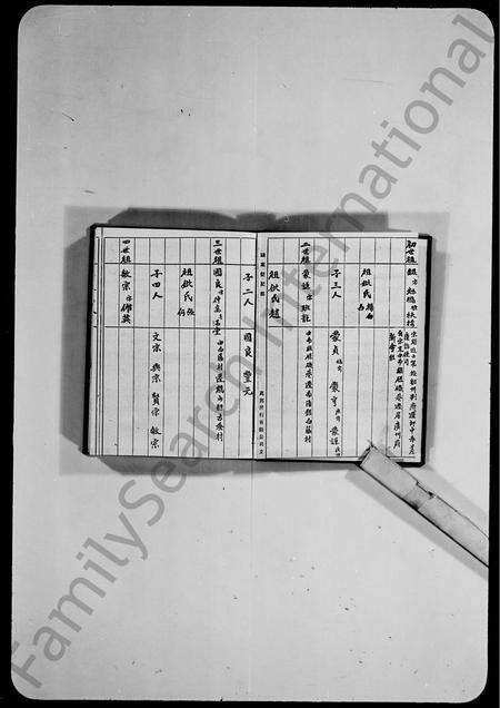 广东胡氏族谱-胡氏族谱.pdf电子版预览图1