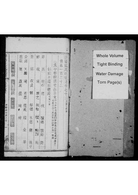 江西、安徽江氏族谱-济阳江氏统谱 [残卷].pdf电子版预览图1