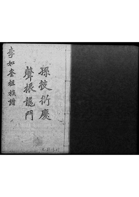 广东李氏族谱-李如奎祖族谱.pdf电子版预览图1