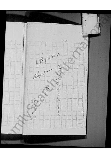 广东廖氏族谱-[新界乌溪抄]廖氏宗族谱.pdf电子版预览图1