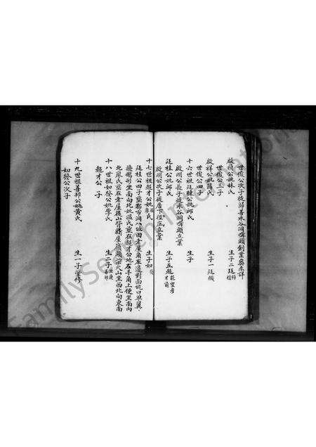 广东刘氏族谱-刘氏族谱 _ 兴宁.pdf电子版预览图1