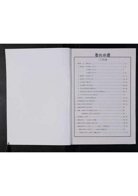 河南娄氏族谱-娄氏族谱 _ 二门.pdf电子版预览图1