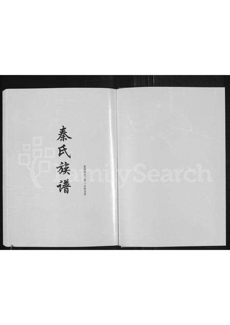 河南秦氏族谱-秦氏家谱 [不分卷].pdf电子版预览图1