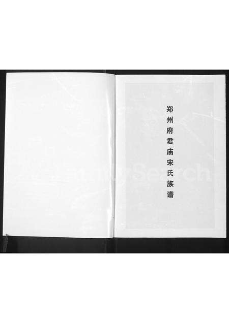 河南宋氏族谱-郑州府君庙宋氏族谱.pdf电子版预览图1