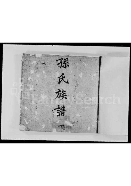 广东孙氏族谱-孙氏族谱 _ 忠埧.pdf电子版预览图1