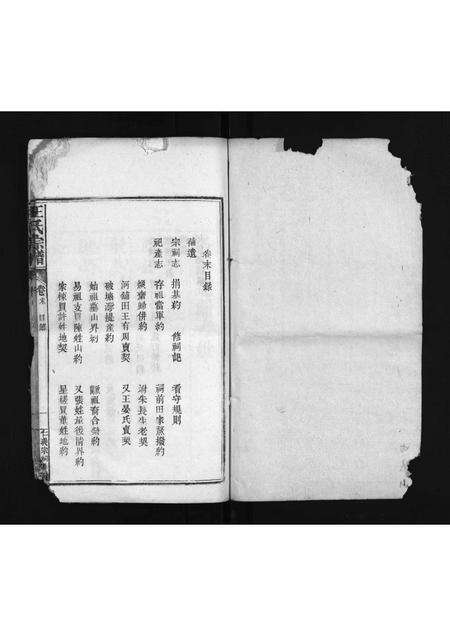 河南、安徽王氏族谱-王氏宗谱 [8卷,首末各1卷].pdf电子版预览图1