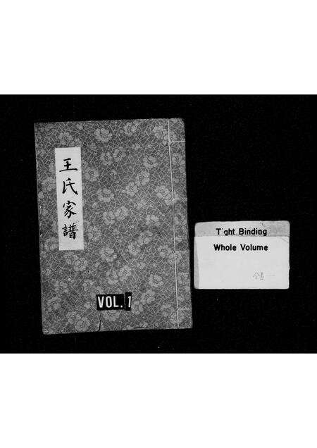 河南王氏族谱-王氏族谱 _ 三槐堂.pdf电子版预览图1