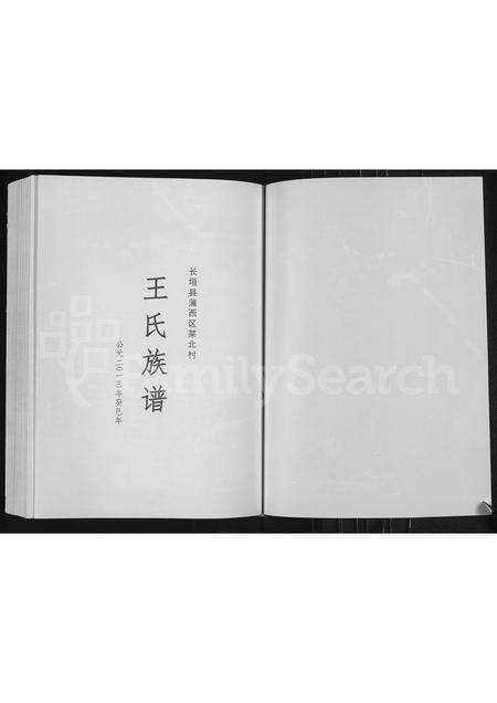 河南王氏族谱-王氏族谱 _ 长垣县蒲西区菜北村.pdf电子版预览图1
