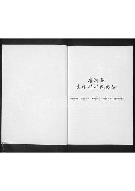 河南未知族谱-唐河县符氏族谱.pdf电子版预览图1