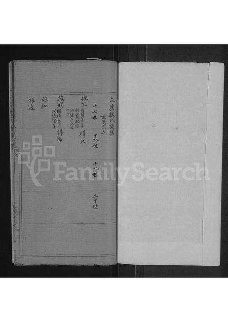 河南魏氏族谱-魏氏族谱 _ 河南省太康县 [存2卷].pdf电子版预览图1