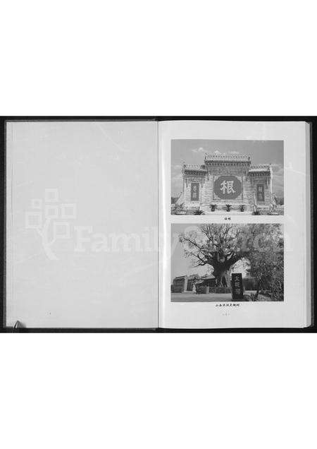 河南杨氏族谱-杨氏家谱 _ 安阳永和伍庄.pdf电子版预览图1