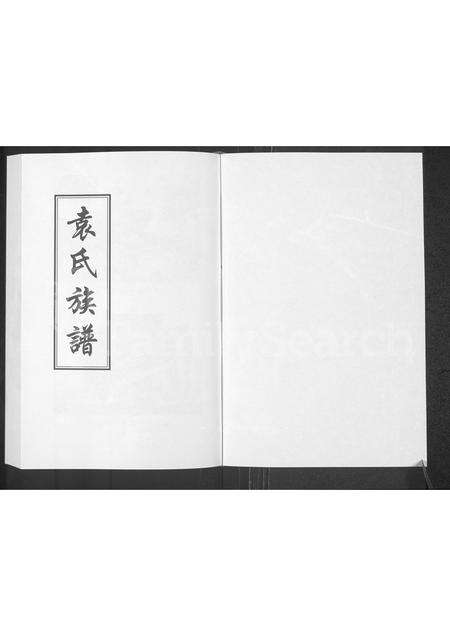 河南袁氏族谱-袁氏族谱.pdf电子版预览图1