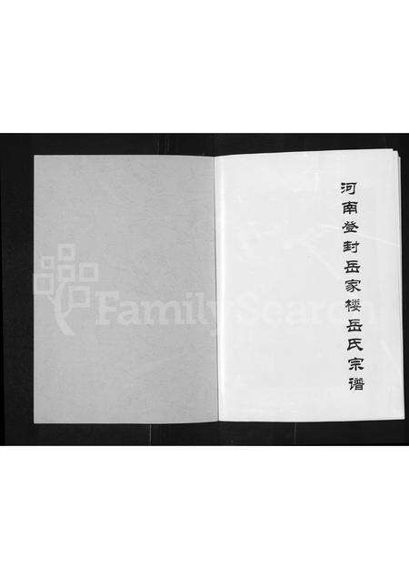 河南岳氏族谱-河南登封岳家楼岳氏宗谱.pdf电子版预览图1