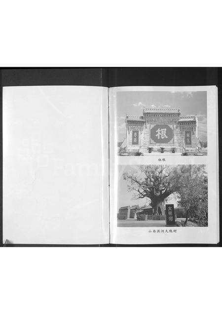 河南张氏族谱-张氏族谱 _ 信阳市何寨彭家湾.pdf电子版预览图1