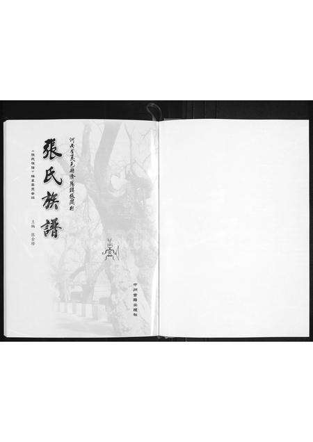 河南张氏族谱-张氏族谱 _ 河南省夏邑县济阳镇张阁村.pdf电子版预览图1