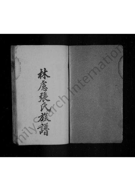 河南张氏族谱-张氏族谱.pdf电子版预览图1