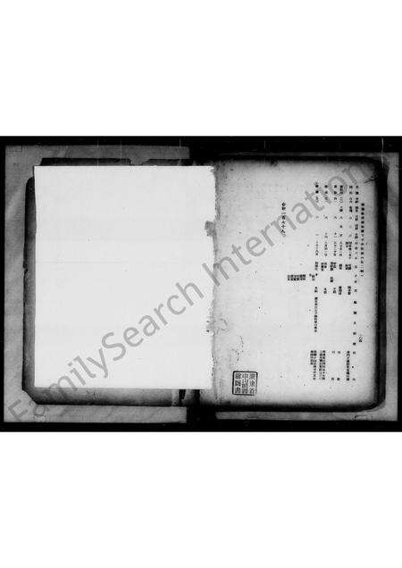 广东朱氏族谱-南海朱泽倍祖派下子孙族谱 _ 第二辑.pdf电子版预览图1