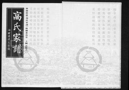 河南高氏族谱-高氏家谱.pdf电子版预览图1