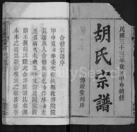 河南胡氏族谱-胡氏宗谱 [26卷,首1卷].pdf电子版预览图1