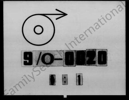 广东林氏族谱-西河林氏重修族谱 [13卷,首1卷].pdf电子版预览图1