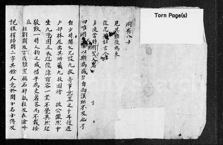 广东林氏族谱-[林氏族谱].pdf电子版预览图1