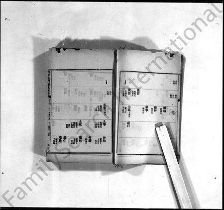 广东罗氏族谱-兴宁东门罗氏族谱 [7卷].pdf电子版预览图1