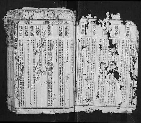 广东丘氏族谱-河南堂丘氏联谱.pdf电子版预览图1