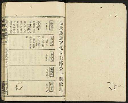 广东汤氏族谱-汤氏族谱 [残卷].pdf电子版预览图1