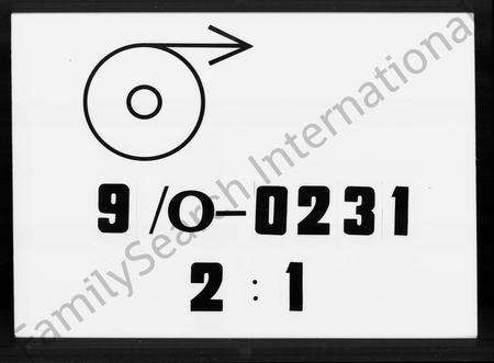 广东王氏族谱-鳌台王氏族谱 [8卷].pdf电子版预览图1