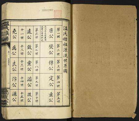 河南温氏族谱-温氏族谱.pdf电子版预览图1