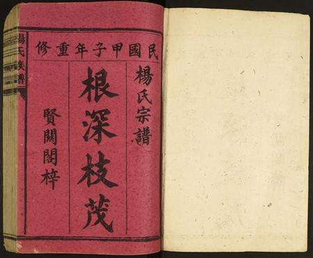 广东杨氏族谱-杨氏宗谱.pdf电子版预览图1