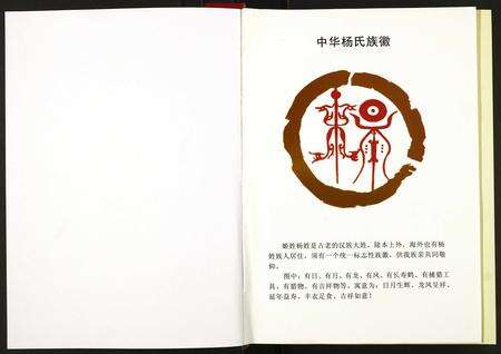 河南杨氏族谱-杨氏宗谱.pdf电子版预览图1