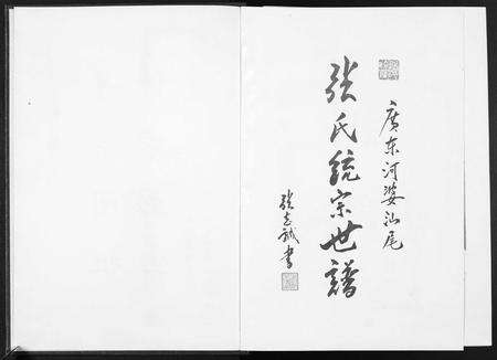 广东张氏族谱-广东省河婆汕尾张氏统宗世谱.pdf电子版预览图1