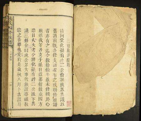 广东张氏族谱-张氏四修族谱.pdf电子版预览图1