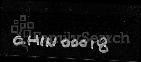 河南张氏族谱-巩义东街张氏谱谍.pdf电子版预览图1
