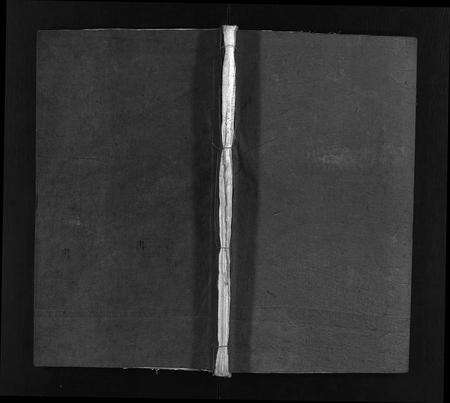 江西、广东、福建陈氏族谱-陈氏大成宗谱 [33卷,首3卷].pdf电子版预览图1