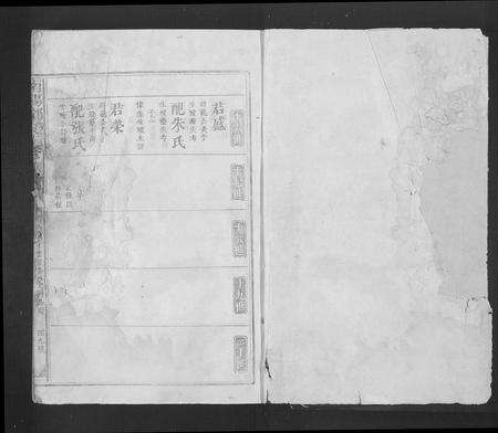 江西、广东邓氏族谱-南阳邓氏五修族谱[总卷数不详].pdf电子版预览图1