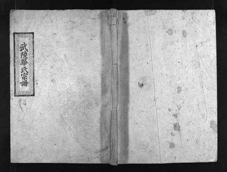 广东华氏族谱-武陵华氏宗谱 [11卷,及卷首].pdf电子版预览图1