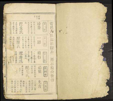 江西、广东黄氏族谱-雩阳黄氏陆修族谱 [不分卷].pdf电子版预览图1