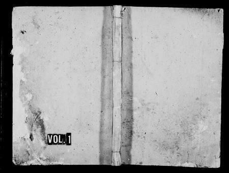 广东林氏族谱-西河林氏家谱.pdf电子版预览图1